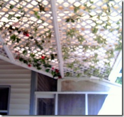 Pergola-17May10-3