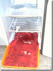 Defrosting-deep-freeze Defrosting-deep-freeze