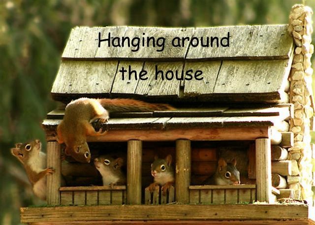 [hanging-around-the-house (Small)-1[3].jpg]