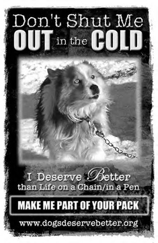 [dog-chained-in-cold[4].jpg]