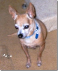Paco-8Jun10 Paco-8Jun10