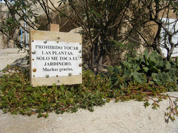 2009_10140001.jpg