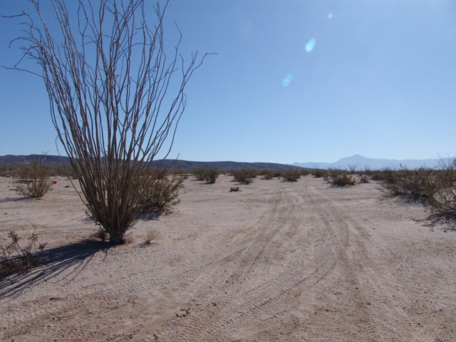 [DSC030853.jpg]