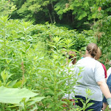 7_6_2008_012.jpg