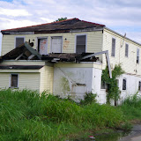 IMGP0187.JPG