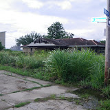 IMGP0195.JPG