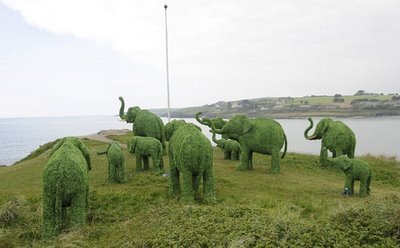 [elephants-looking-to-sea-4471[3].jpg]