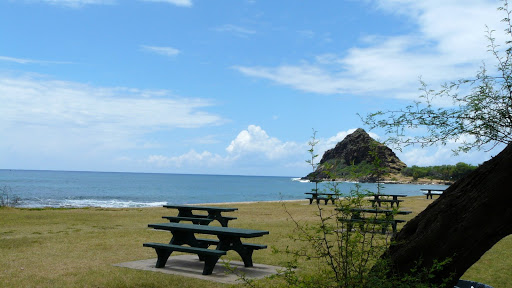 makaha mako