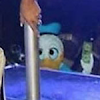 Fotos prohibidas de Disney