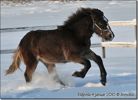 2010-eldjenta-4jan_02