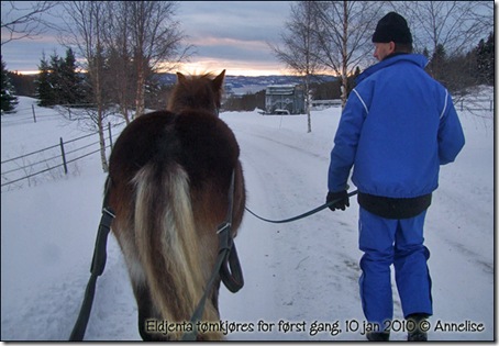 2010-10jan-tomkjoring_01