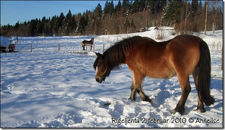 2010-jenta-2feb_02