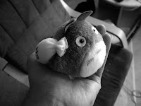 bluetotoro.jpg bluetotoro.jpg