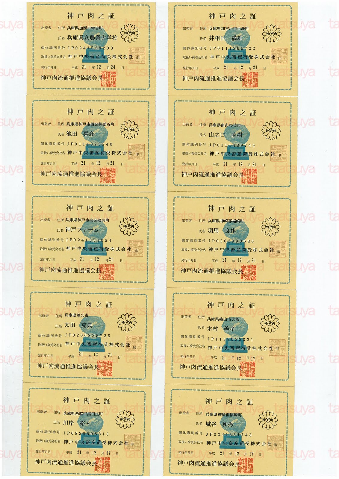 [LOT-10010601-#1.jpg]