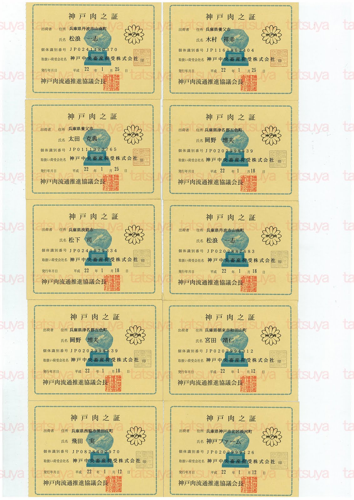 [LOT-10020301-#1.jpg]