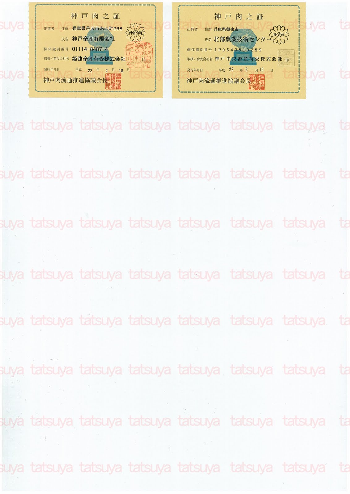 [LOT-10031501-#2.jpg]