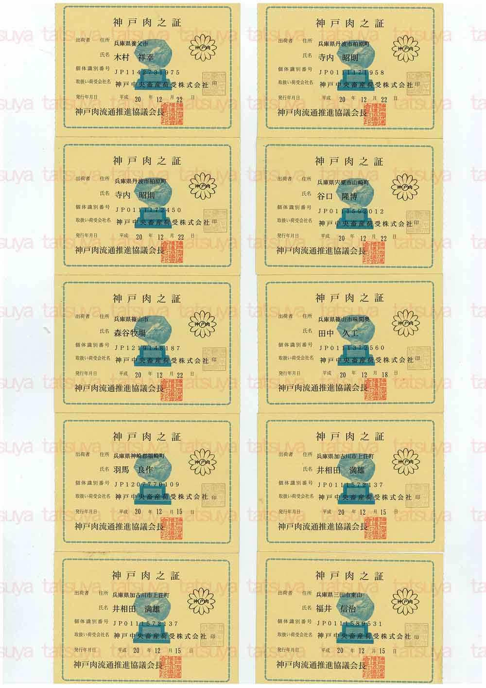 [LOT-08122901-#1.jpg]