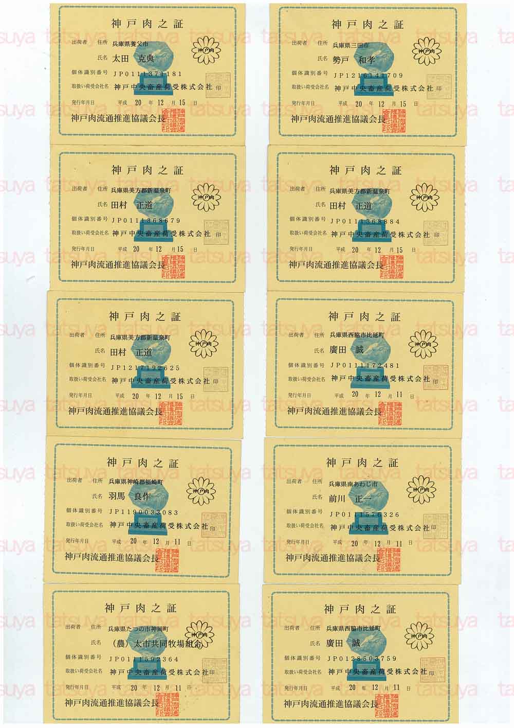 [LOT-08122901-#2.jpg]