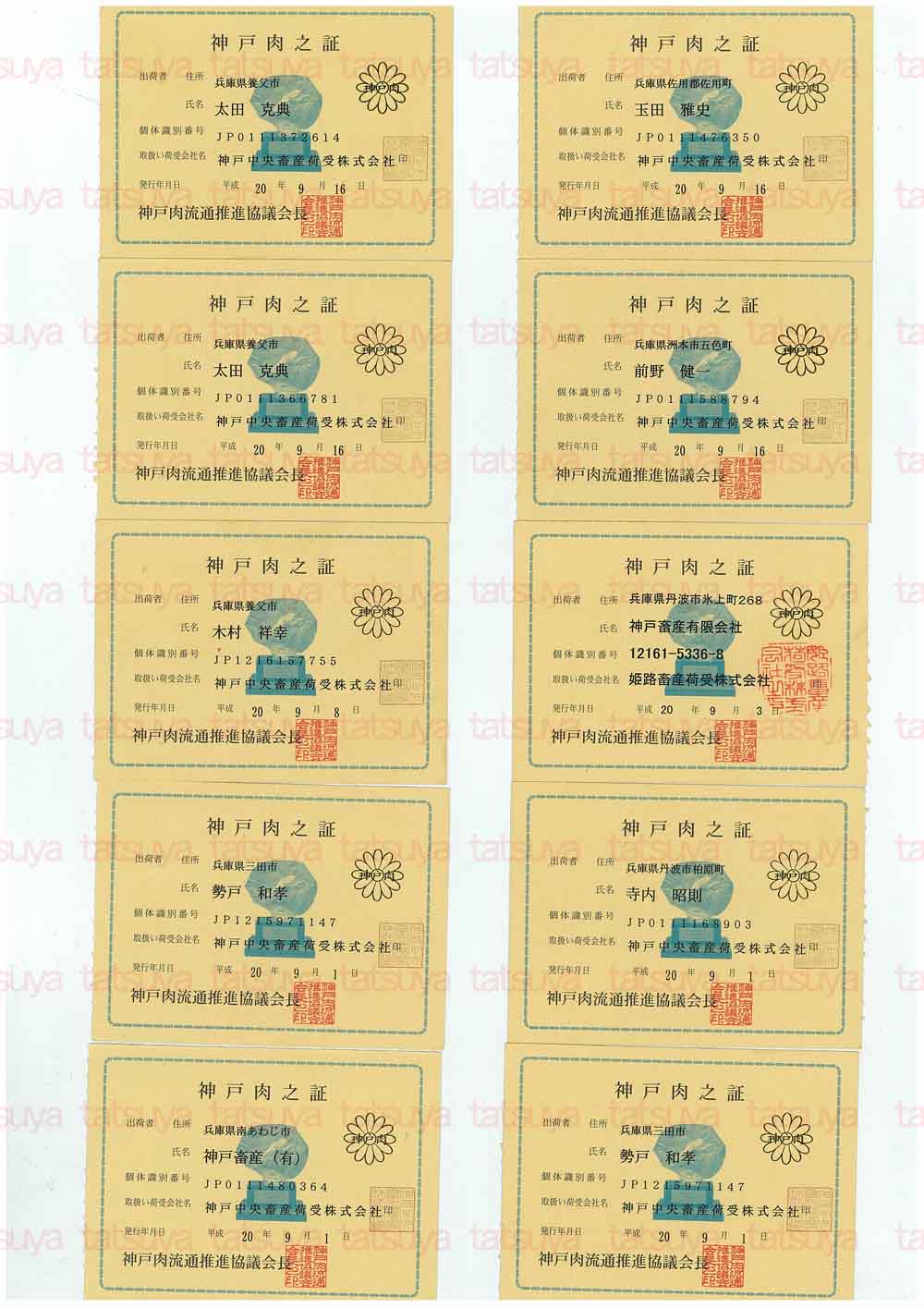 [LOT-08092501-#1.jpg]