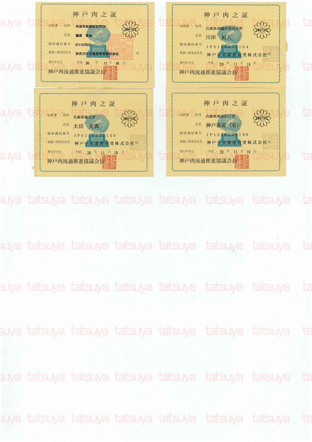 [LOT-08121301-#3.jpg]
