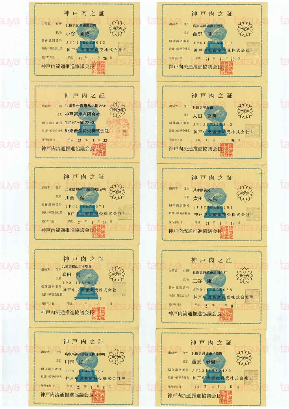 [LOT-09020601-#1.jpg]