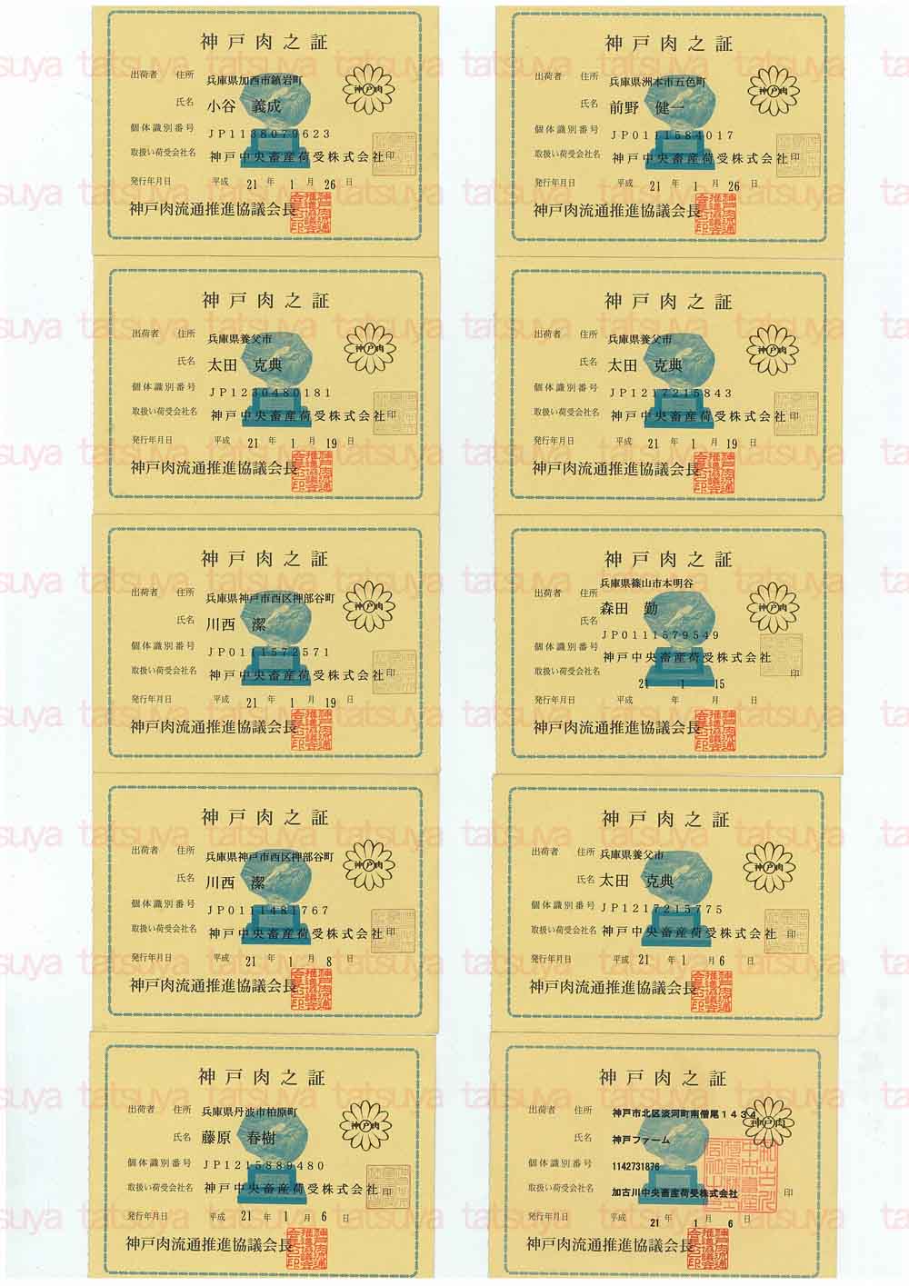 [LOT-09020201-#1.jpg]