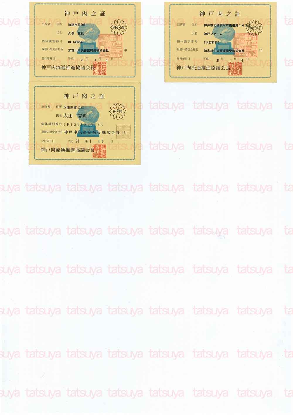 [LOT-09020601-#2.jpg]