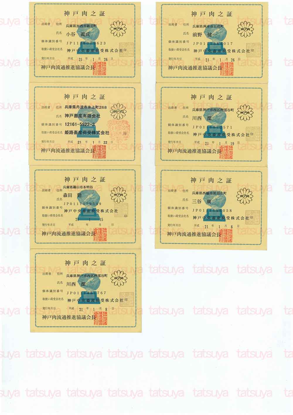 [LOT-09020701-#1.jpg]