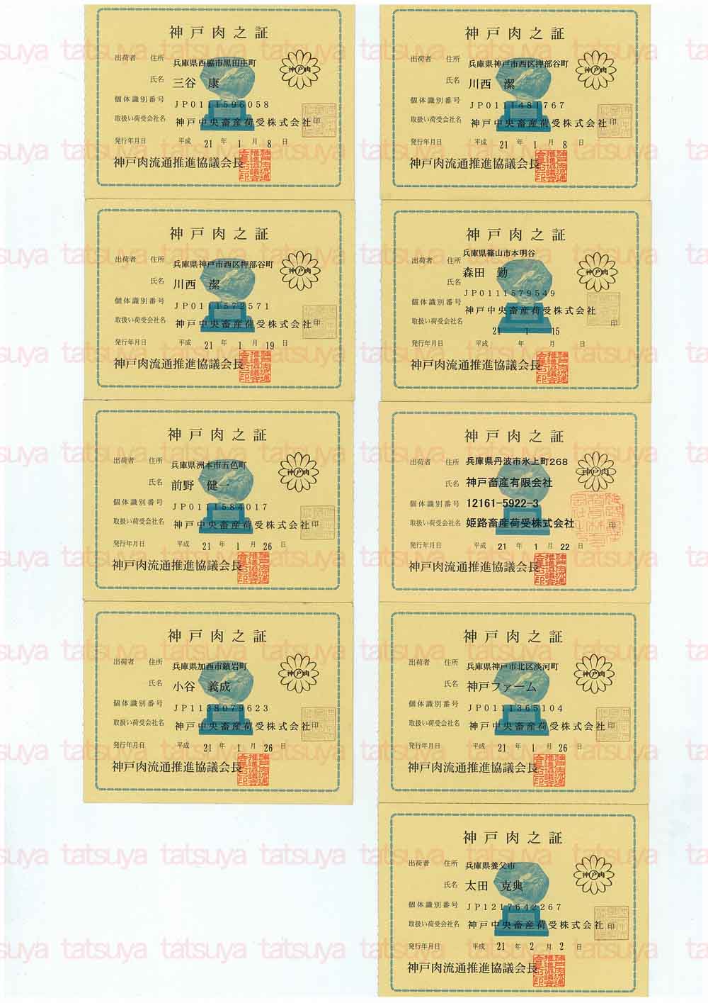 [LOT-09020901-#1.jpg]