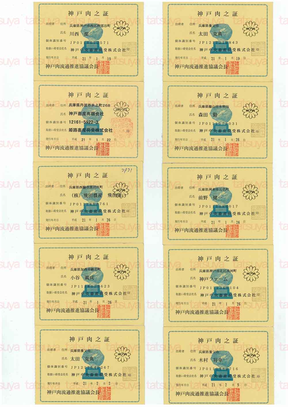 [LOT-09021701-#1.jpg]