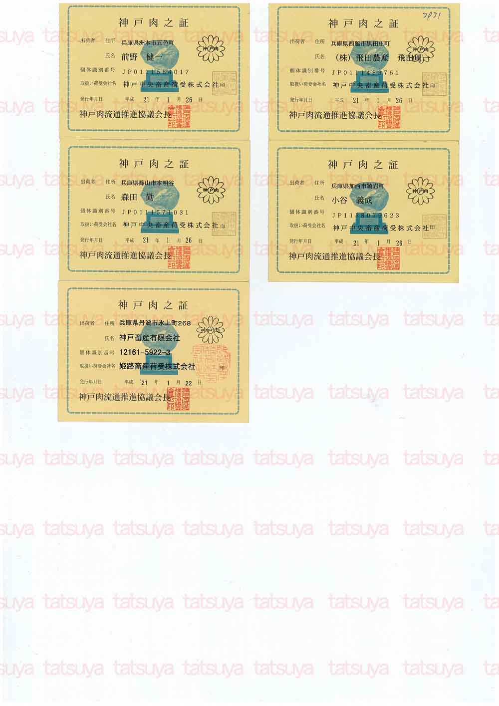 [LOT-09022101-#2.jpg]