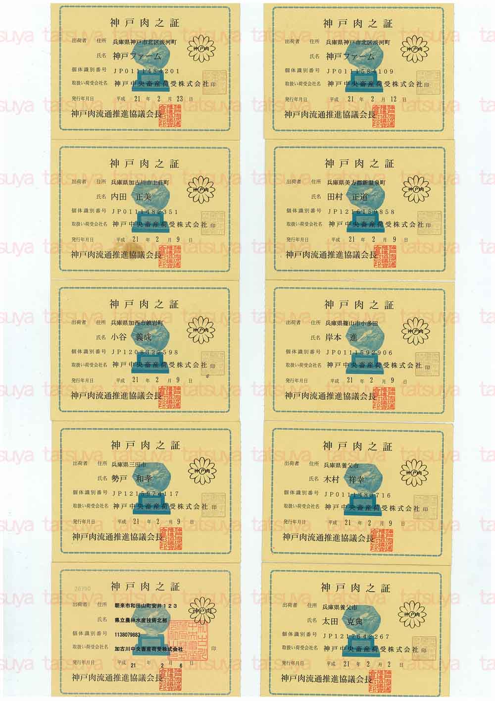 [LOT-09022601-#1.jpg]