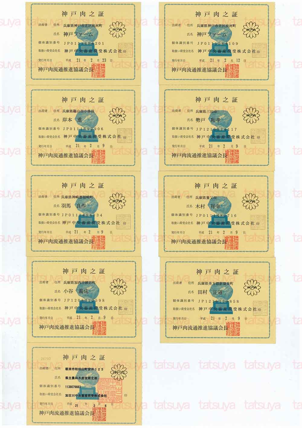 [LOT-09022801-#1.jpg]