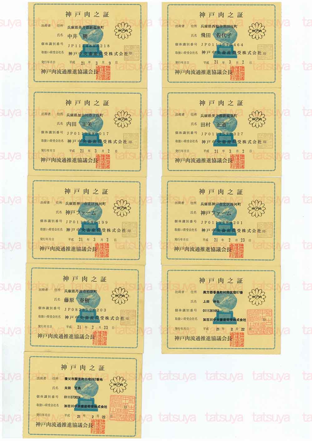 [LOT-09031601-#1.jpg]