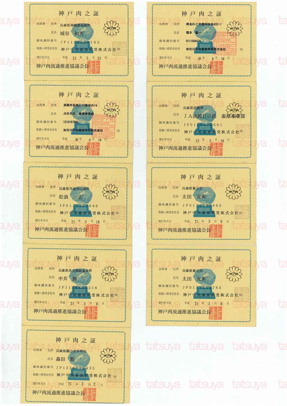 [LOT-09033101-#1.jpg]