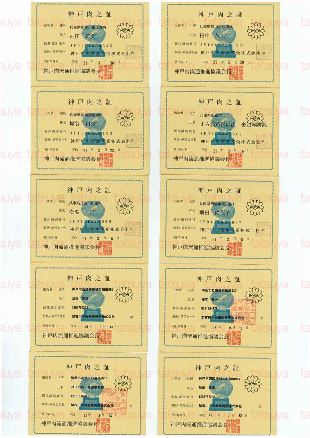 [LOT-09040701-#1.jpg]