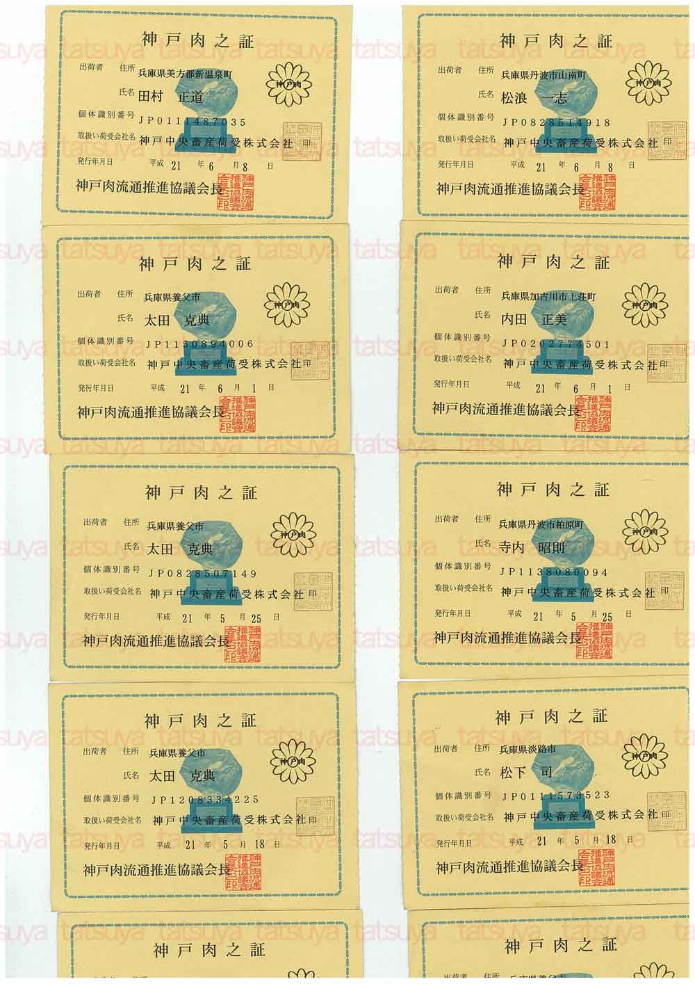 [LOT-09061501-#1.jpg]