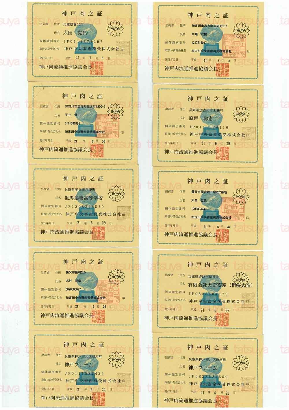 [LOT-09070801-#1.jpg]