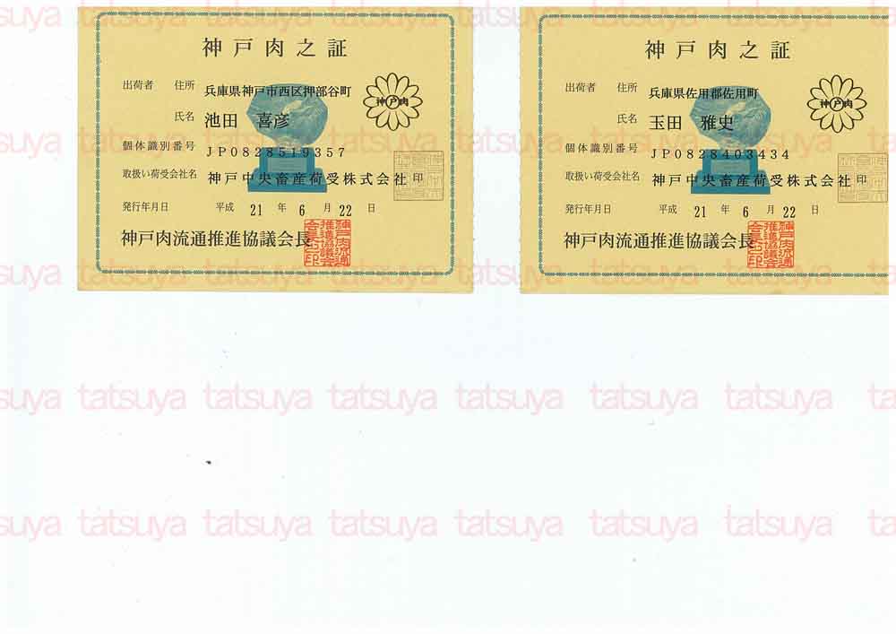 [LOT-09070801-#2.jpg]