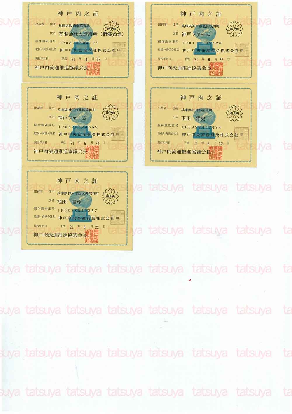 [LOT-09071001-#2.jpg]