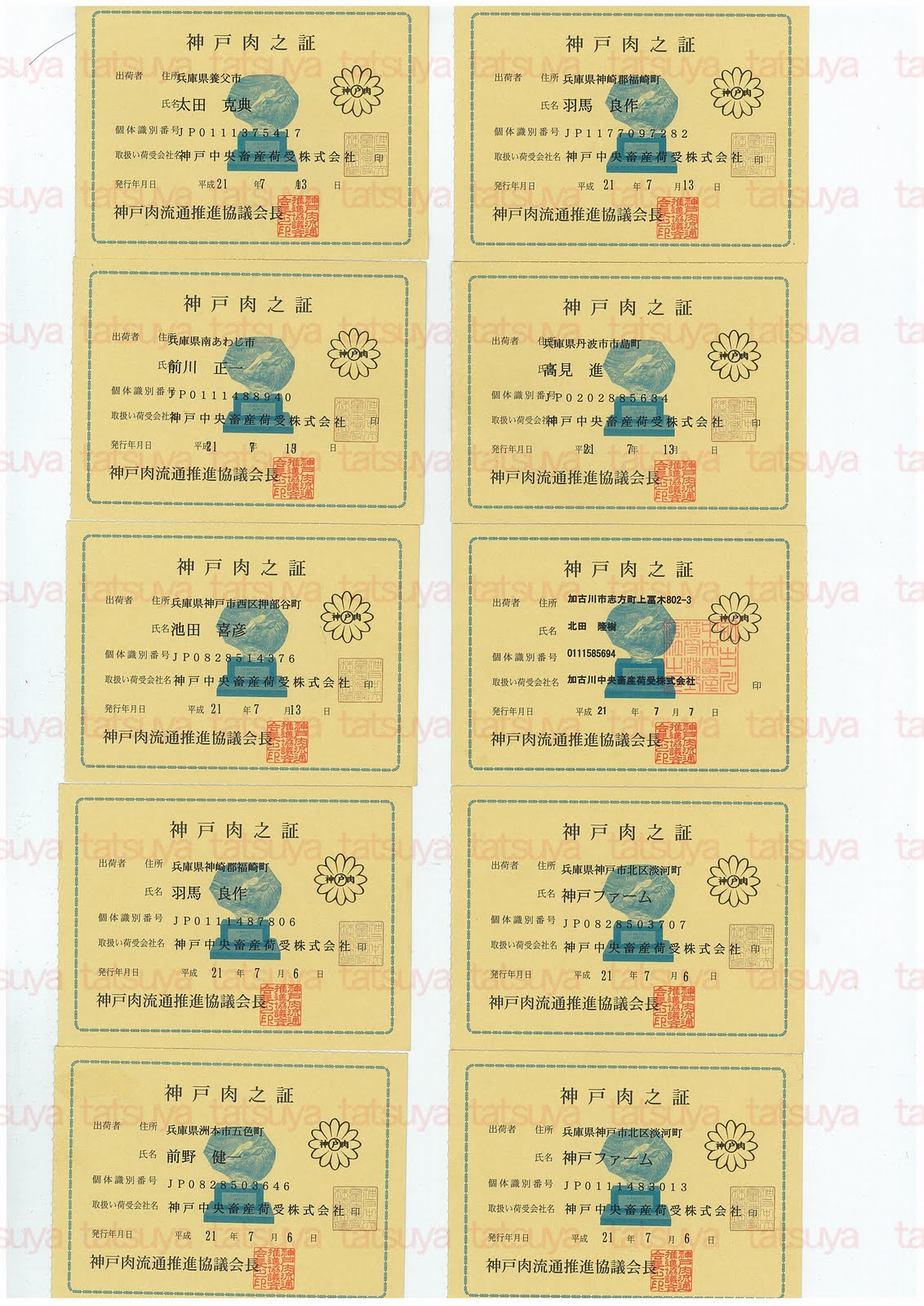 [LOT-09072401-#1.jpg]