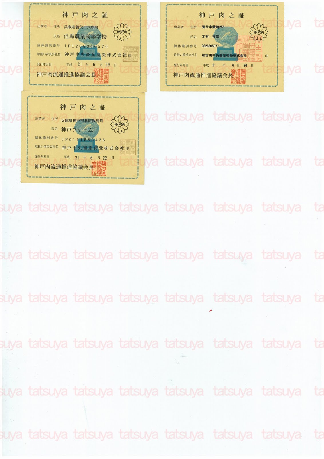 [LOT-09072502-#2.jpg]