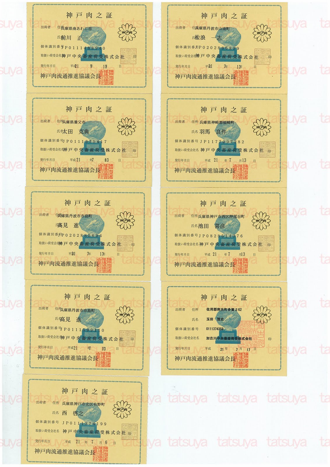 [LOT-09080401-#2.jpg]