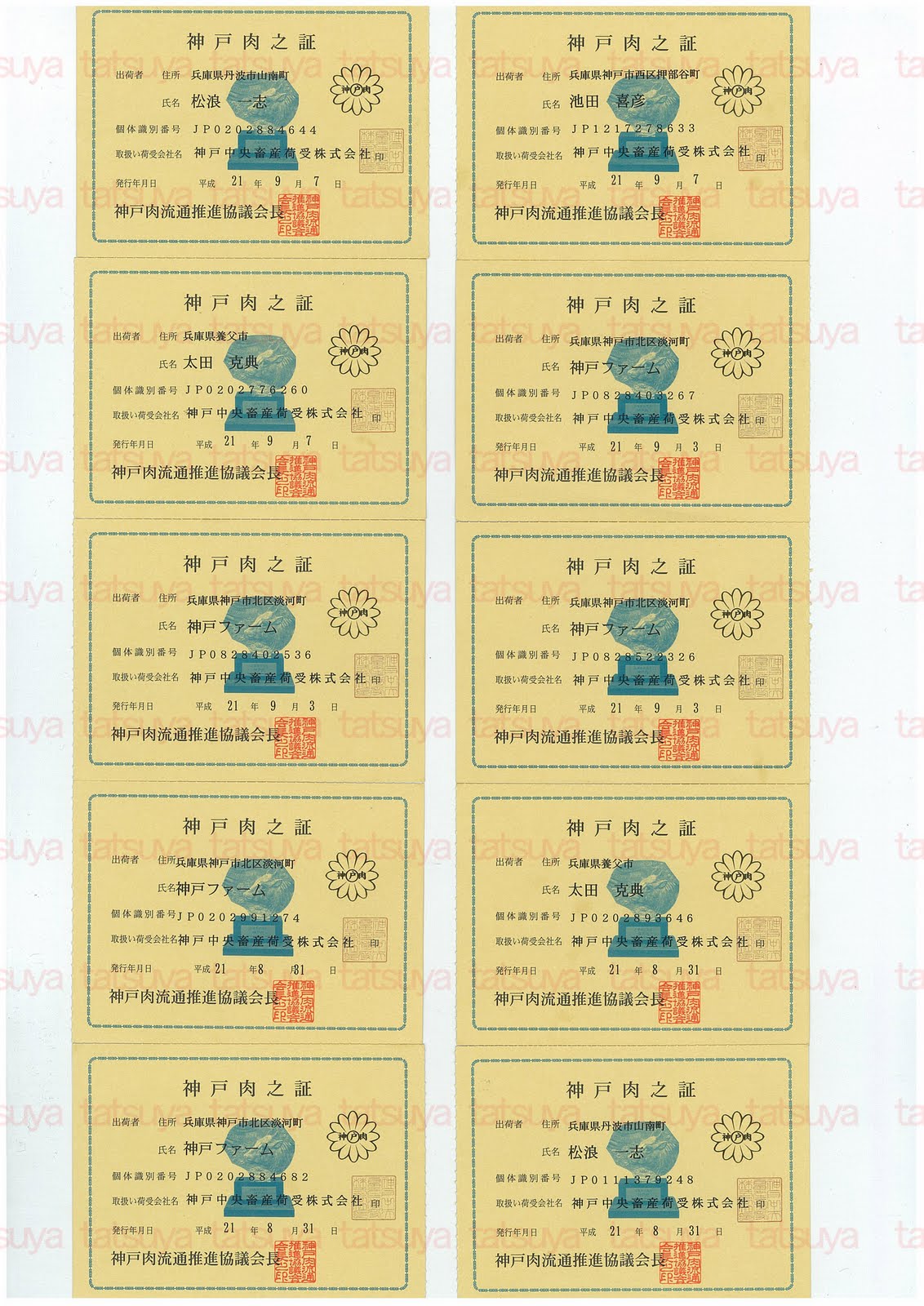 [LOT-09091501-#1.jpg]