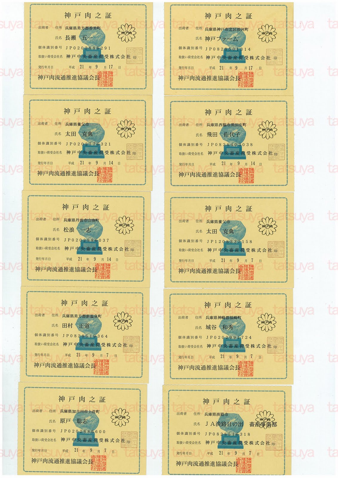 [LOT-09092501-#1.jpg]