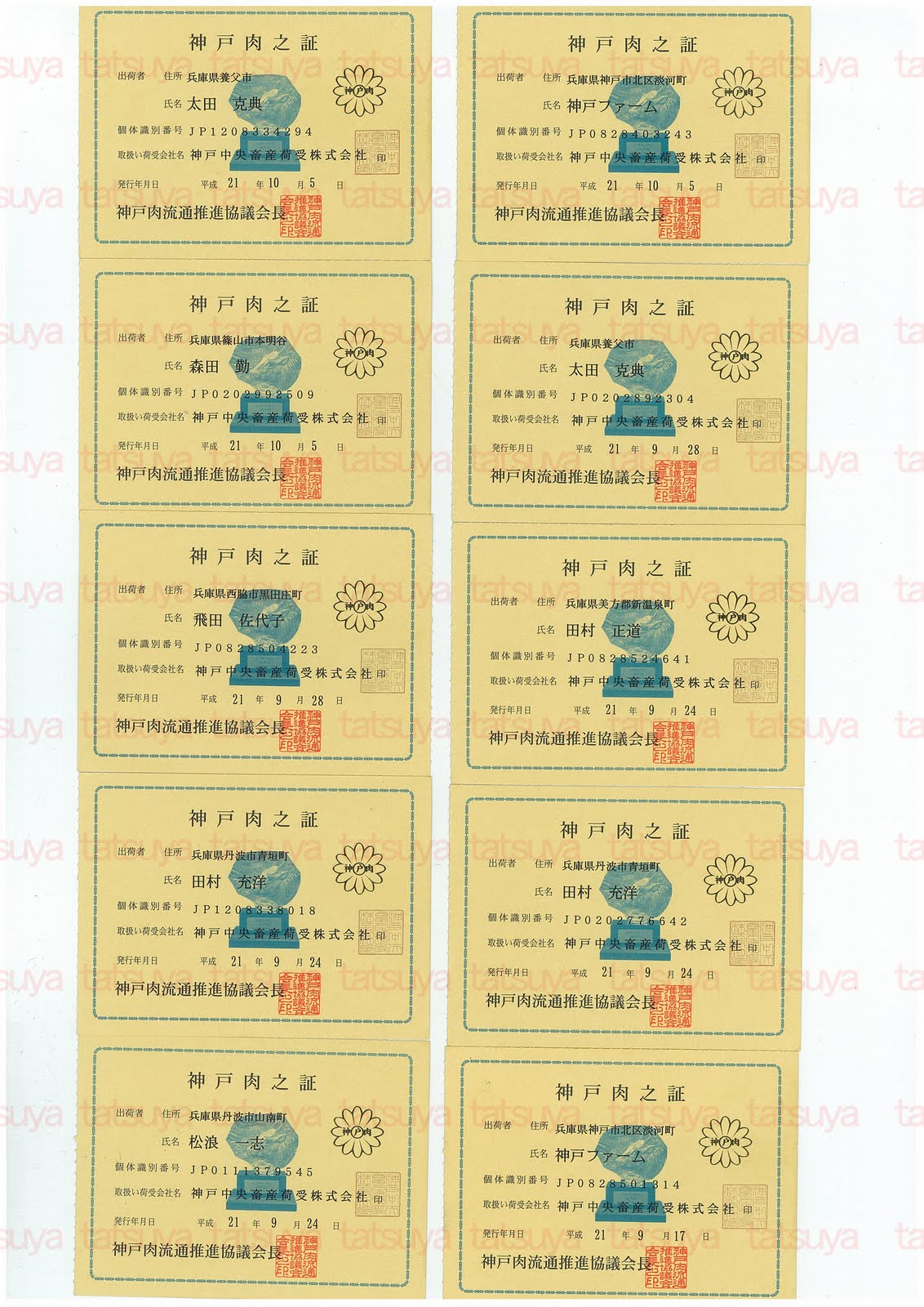 [LOT-09101401-#1.jpg]