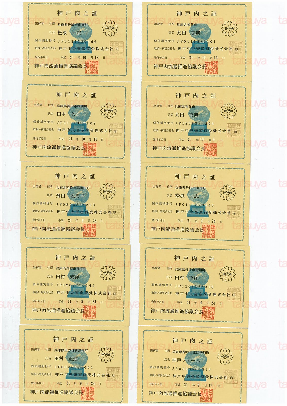 [LOT-09101701-#1.jpg]