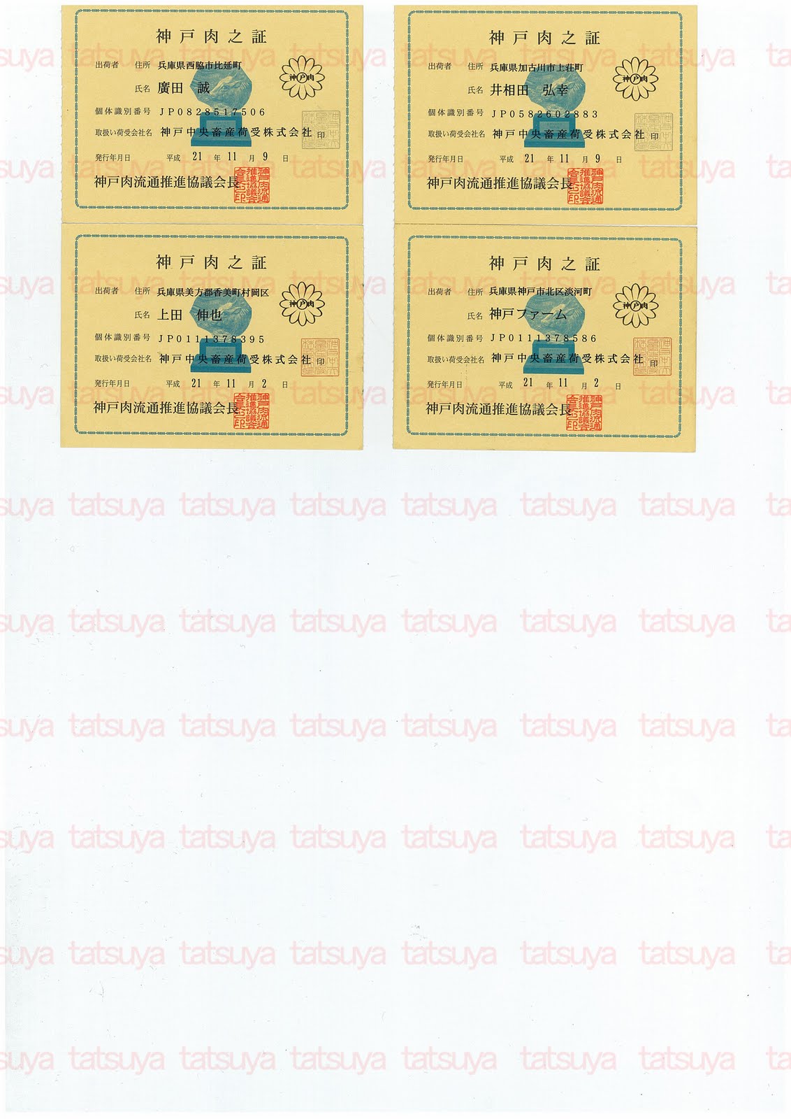 [LOT-09120101-#2.jpg]