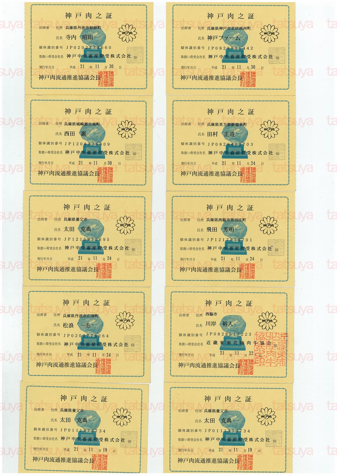 [LOT-09120401-#1.jpg]