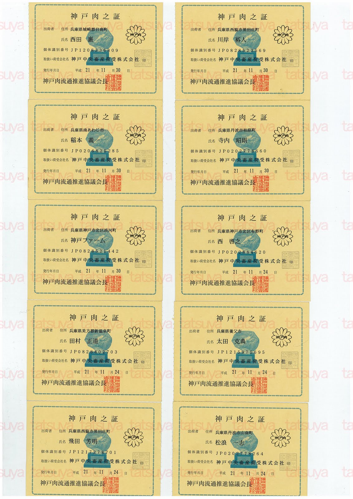 [LOT-09120801-#1.jpg]